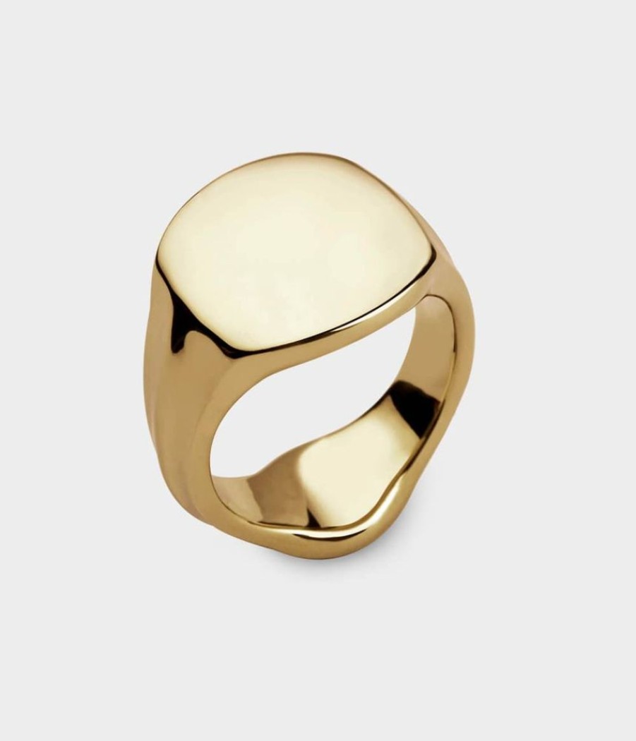 Men Stephen Einhorn | Signet Ring